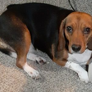 Meet your Posher, Drew